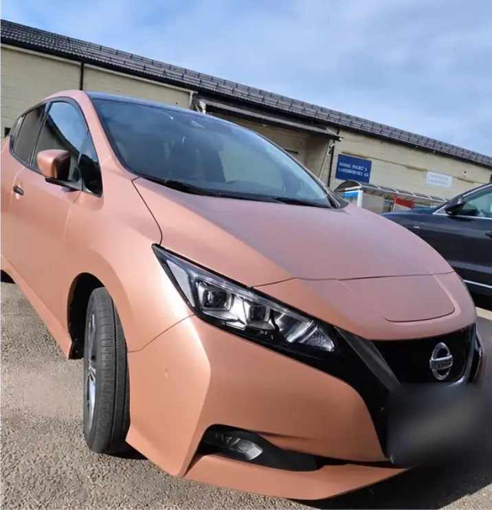 Nissan Leaf in rose gold